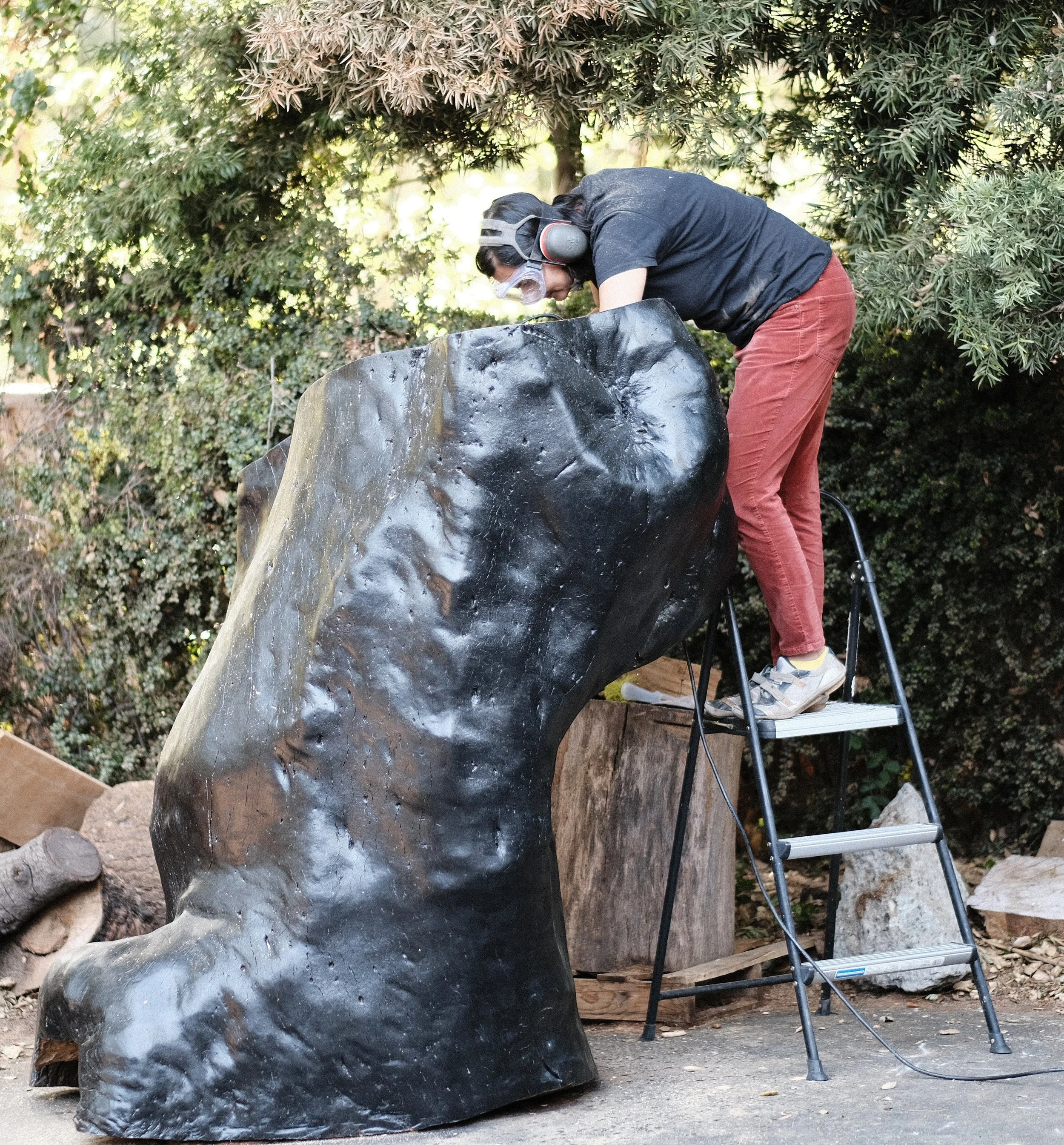 Priyanka Rana in ear protection, leaning over the top of a monumental charred redwood form on a ladder, outdoors among trees