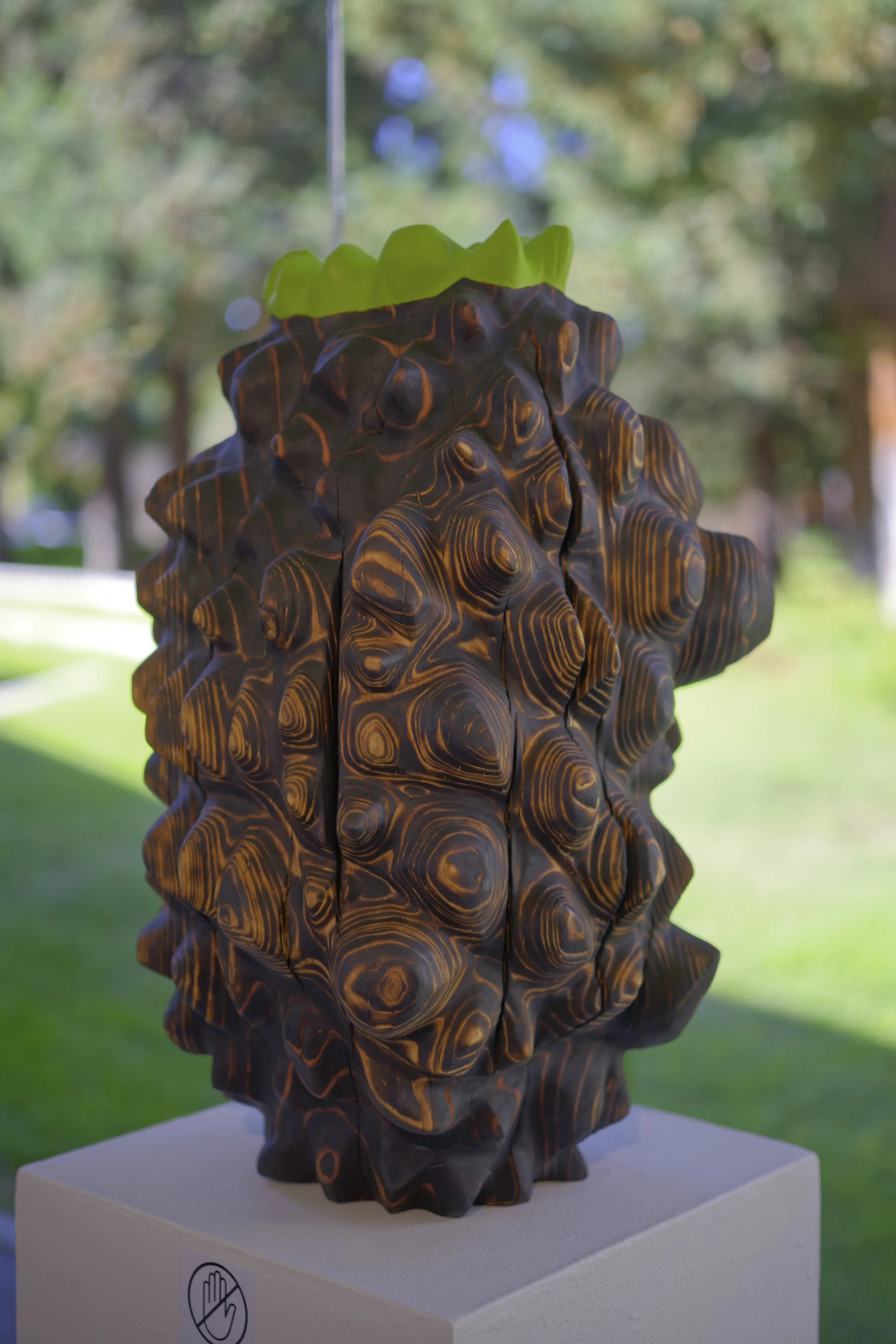 Holding Hope — a carved redwood vessel of layered whorls with a bright green carved crown, shown outdoors on a plinth
