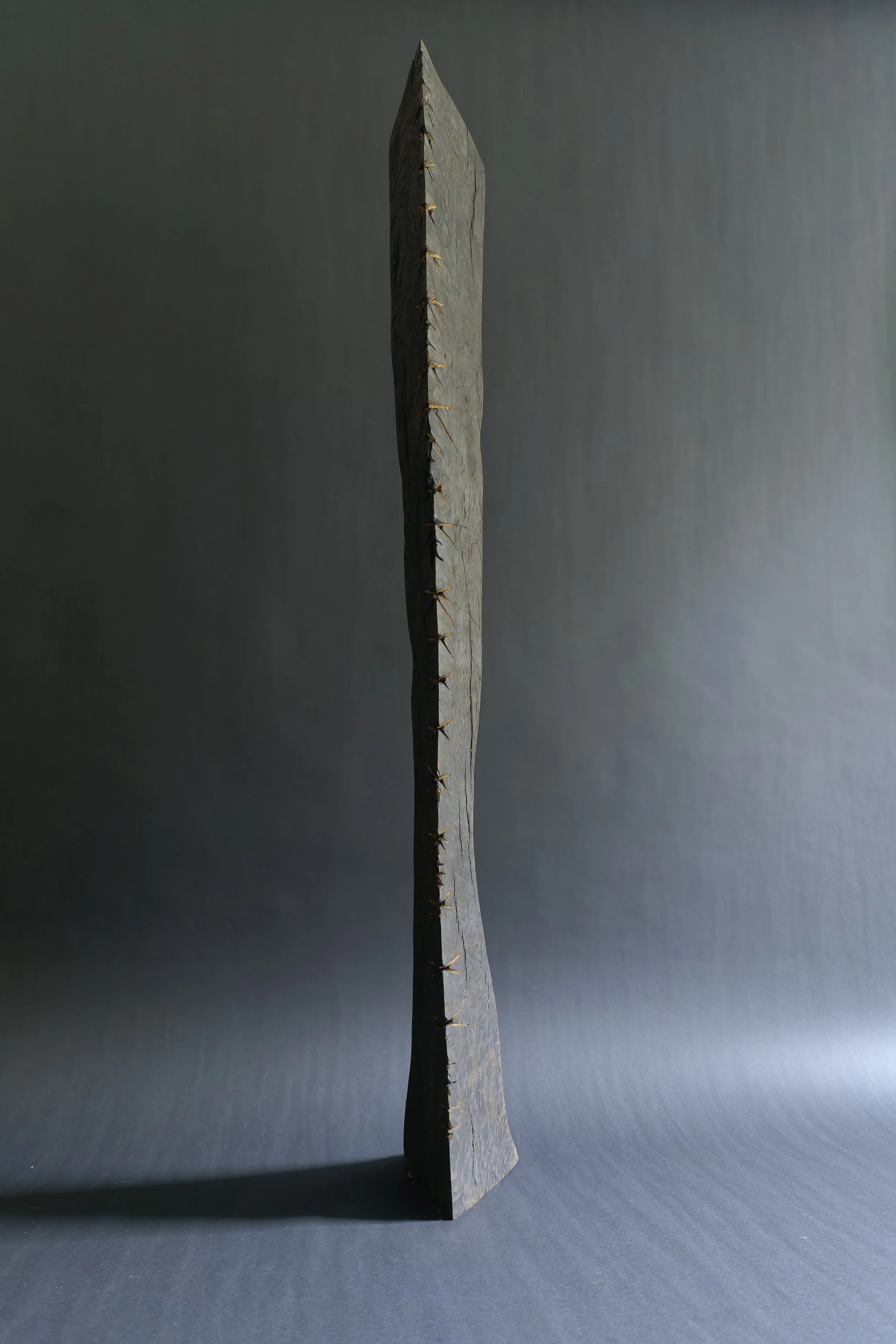 Two Bodies, Healing — a slender charred wooden blade standing upright against a grey studio wall