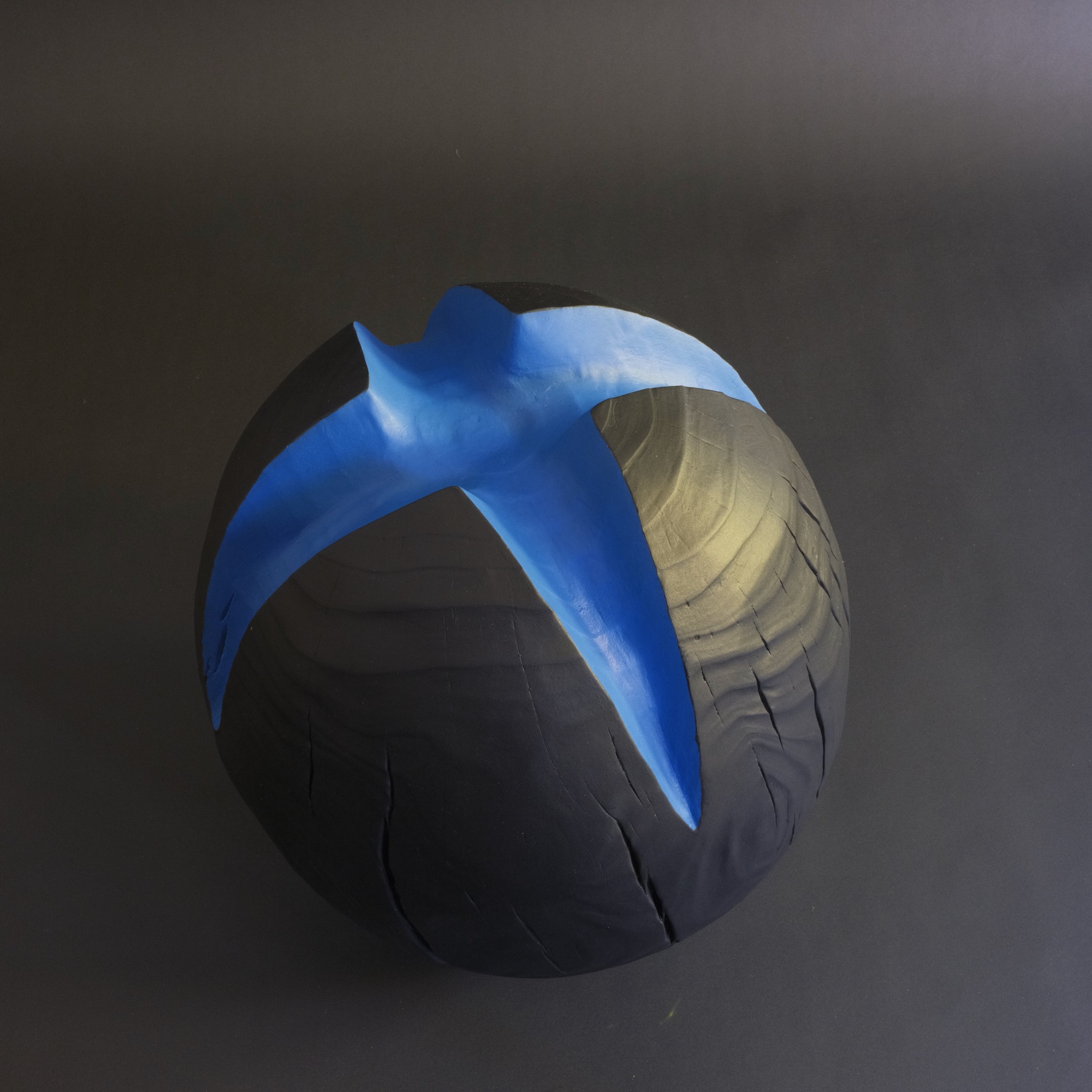 It was tiime to leave — a charred black wooden sphere split by a carved electric-blue bird in flight, photographed against a deep grey studio wall